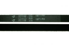 Ремень 1971 Н7 сушильной машины